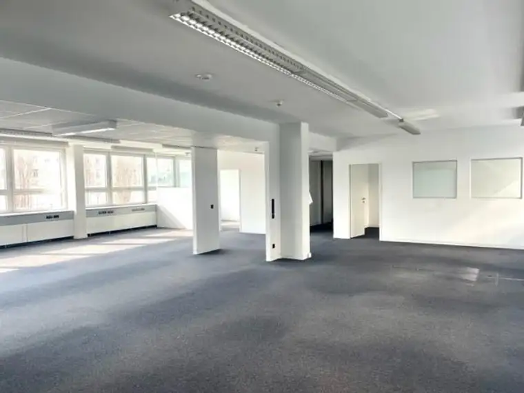 Kathrin Fercher, JP Immobilien