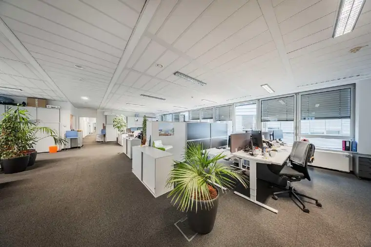 Kathrin Fercher, JP Immobilien