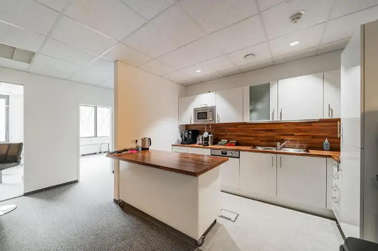 Kathrin Fercher, JP Immobilien