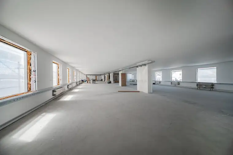 Kathrin Fercher, JP Immobilien