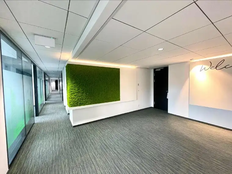 Kathrin Fercher, JP Immobilien