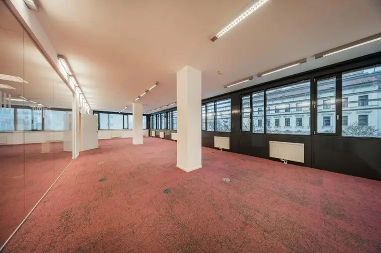 Kathrin Fercher, JP Immobilien