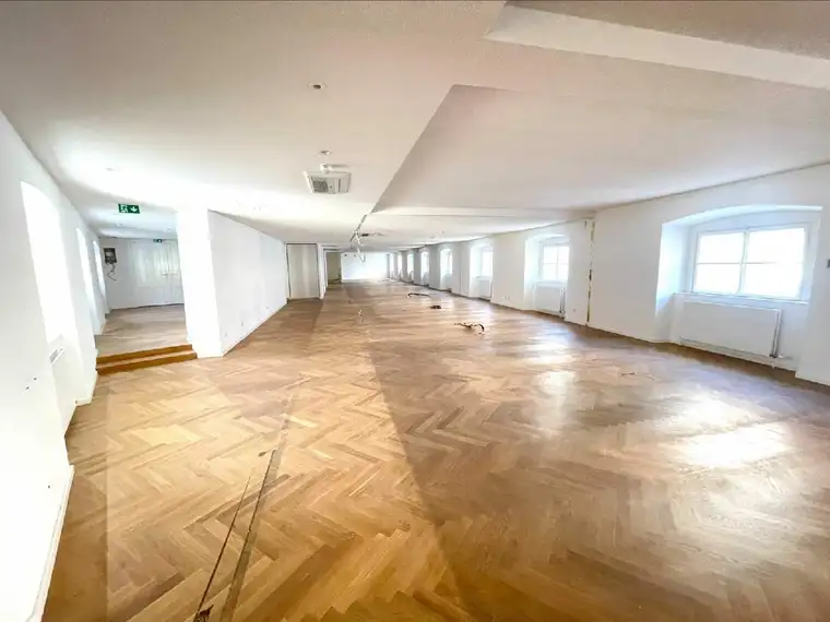 Kathrin Fercher, JP Immobilien