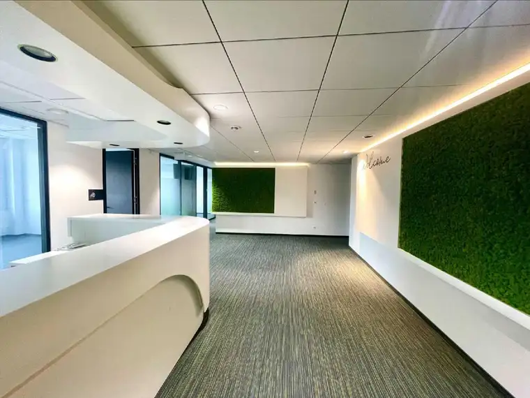 Kathrin Fercher, JP Immobilien