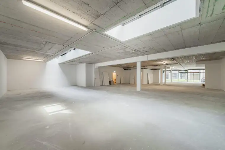 Kathrin Fercher, JP Immobilien