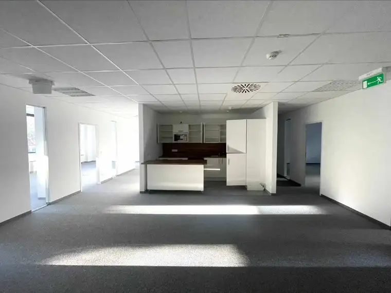 Kathrin Fercher, JP Immobilien