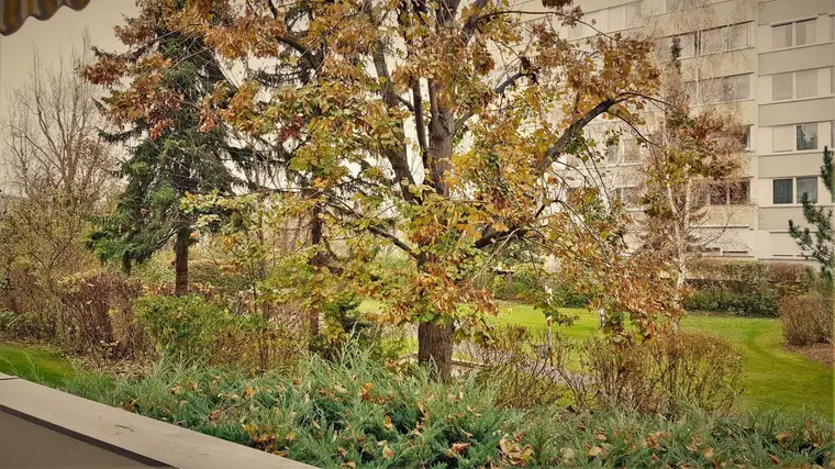 Bad´ner Wohnung: eine coole- gleich um´s Eck der Fachhochschule!