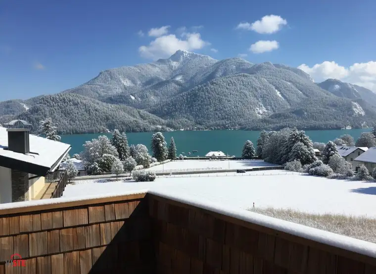 Sigrun Kogler, VISTE Immobilien