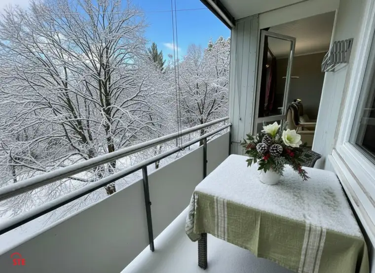 Sigrun Kogler, VISTE Immobilien