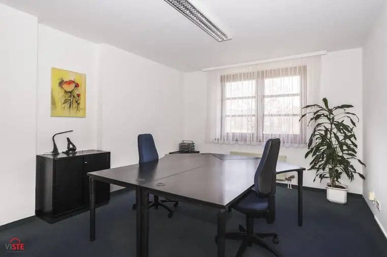 Sigrun Kogler, VISTE Immobilien