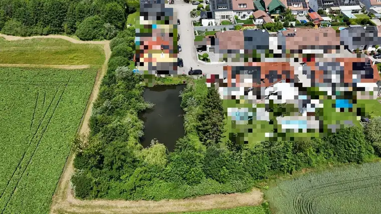 Sonniges Freizeitgrundstück mit idyllischem Teich in begehrter Lage von Wels-Puchberg