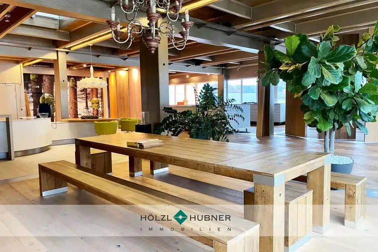 Showroom mit riesiger Terrasse