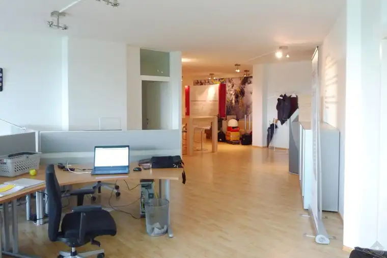 Modern mit Ausstellungs- und Archivflächen