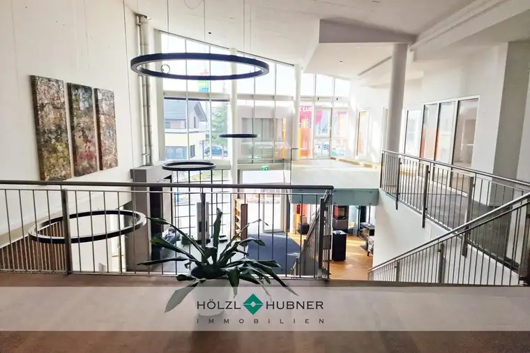 Helle Showroom- / Büroflächen in Eugendorf
