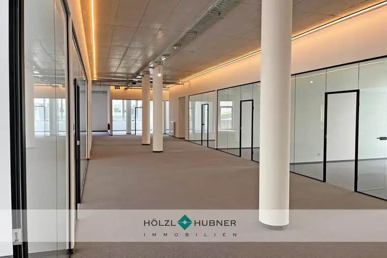 Flexible Bürofläche in Puch Urstein