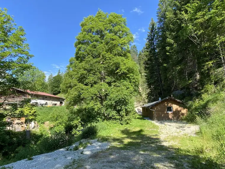 Rarität: Hütte in absoluter Natur &amp; Ruhelage
