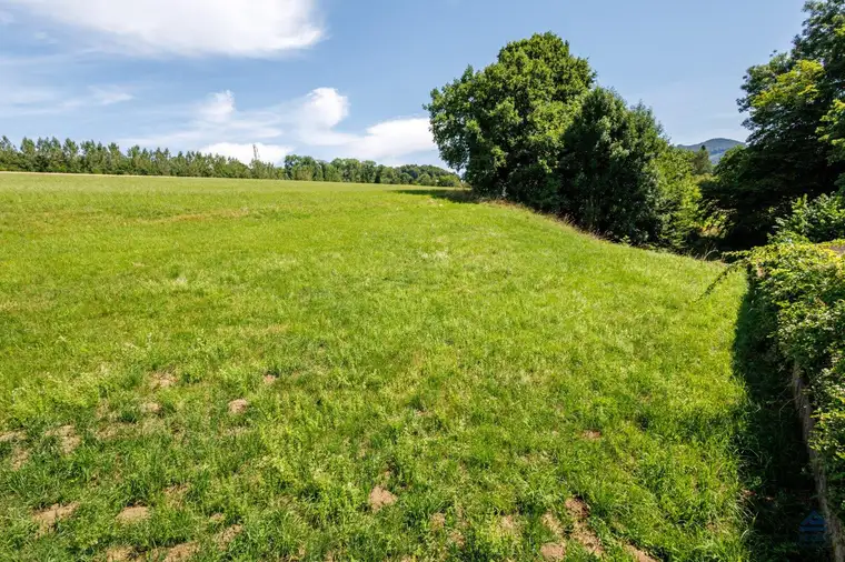 Aus 1 mach 2: teilbares Baugrundstück in sonniger Naturlage, Salzburg - Itzling