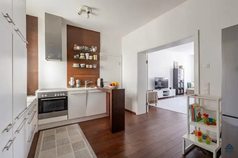 Altstadtflair: großzügige 3-Zimmer-Wohnung, Linzergasse