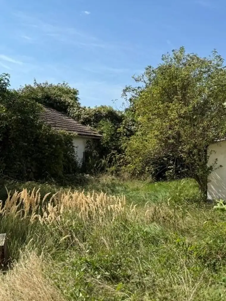 Ihr Bauplatz in Lassee – Natur genießen, Stadtnähe nutzen