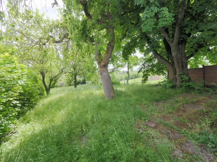 Prominente Villengegend mit gepflegter Nachbarschaft! Liegenschaft mit Altbestand und Wienblick