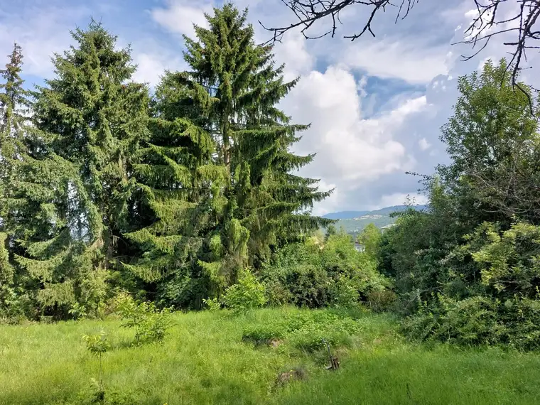 Großzügiges Anwesen mit 3400 m² in Top Lage!
