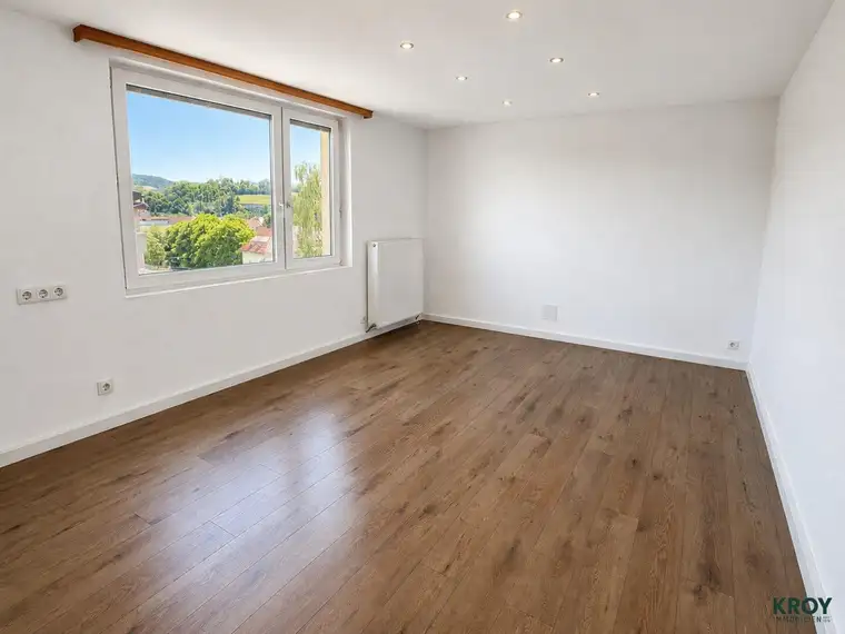 Felix Lanzerstorfer, Kroy Immobilien OG