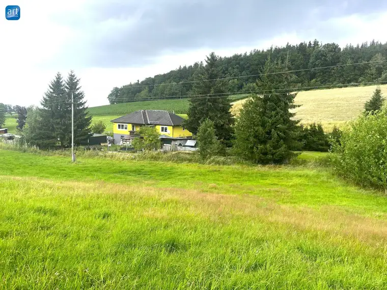 Großzügiges Wohnhaus in ruhiger Lage, Grundfläche 3800 m², ideal für Naturliebhaber!