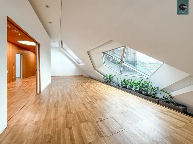 Bestlage! Repräsentative Büroflächen im DG eines Palais an Topadresse nahe Freyung &amp; Herrengasse! Klimatisiert!