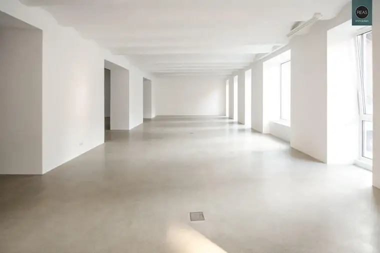Loft in bester Hoflage der Brotfabrik Wien!