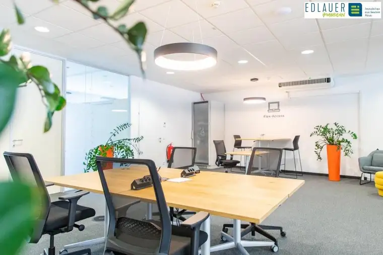 Top-Lage trifft modernes Coworking!