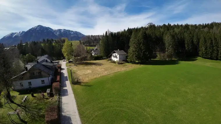Vier Baugründe in Altaussee - Baugrund 3