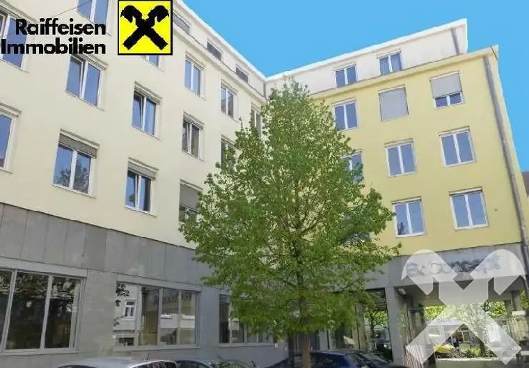 Erstbezug nach Sanierung: Innenstadtfeeling pur - Charmante City-Apartments am Tummelplatz