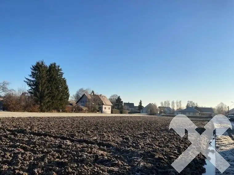 ca. 6500 m² Baugrund in Bad Radkersburg - Goritz
