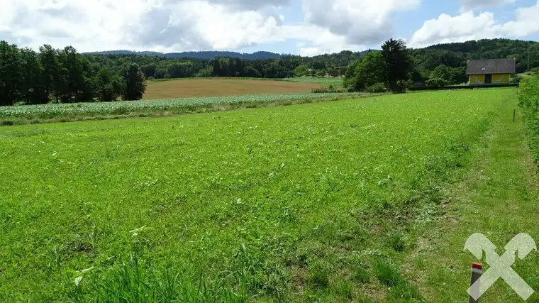 Baugrund und landwirtschaftliche Fläche im "Naturpark Südsteiermark"