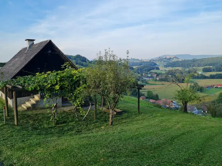 Einzigartige Lage - Weingartenhaus mit 9000 m² großen Weingarten- und Waldgrundstück in Straden