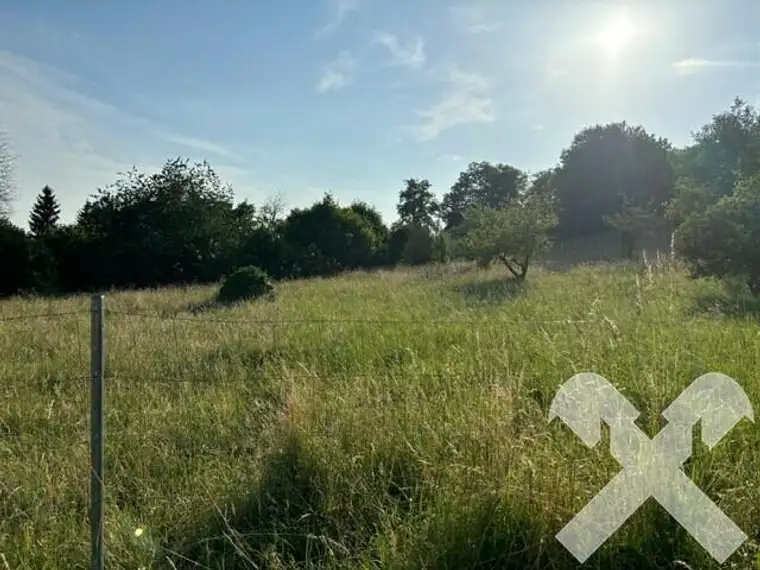 Traumhafter Baugrund am Fuße des Hartberger Hausberges Ring mit Aussicht!