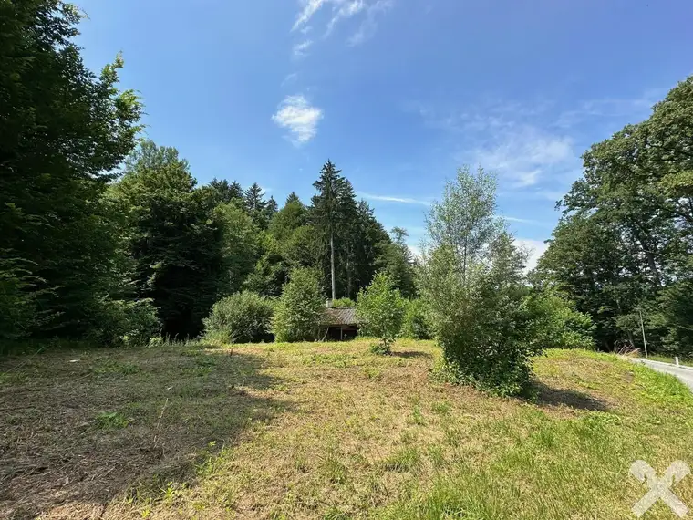 Seltene Gelegenheit für Naturliebhaber - ca. 1180 m² Baugrundstück plus Waldgrundstück in Graz-Umgebung