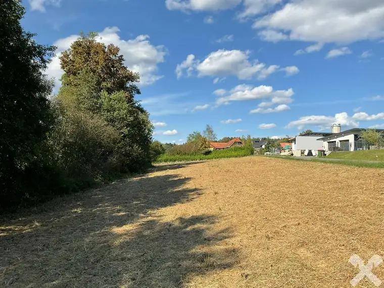 Sonniges Baugrundstück in Wieselsdorf