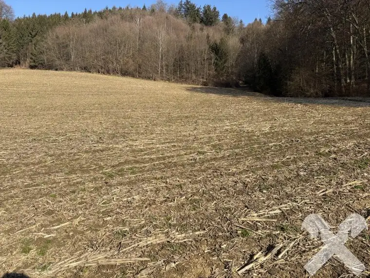 Bauträgergrundstück nahe Feldbach