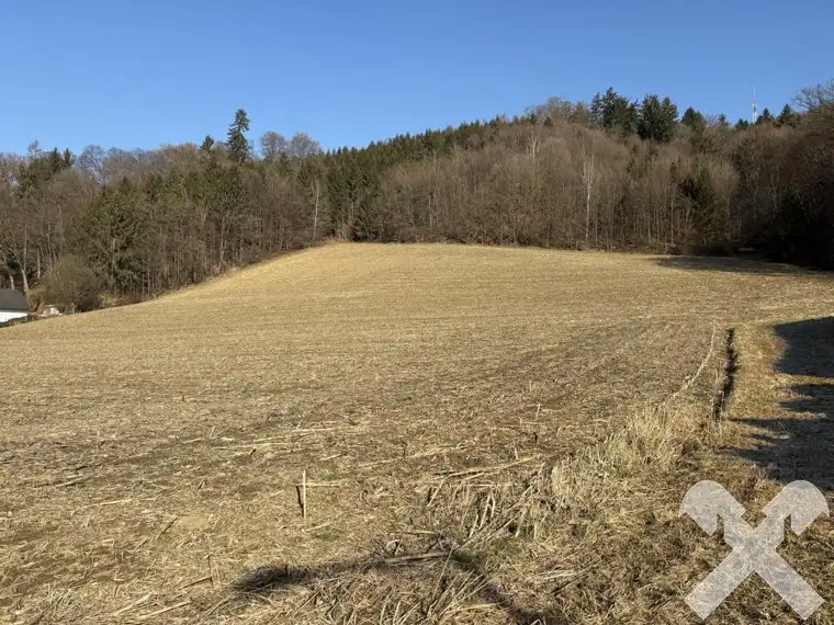 Bauträgergrundstück nahe Feldbach