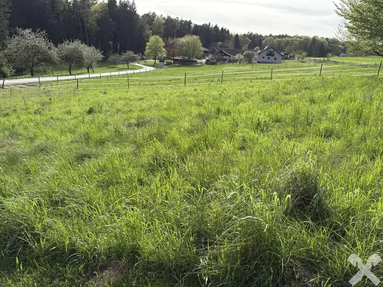 Idyllisches Baugrundstück bei St. Margarethen/Raab mit einem fertigen Konzept für den Bau eines Einfamilienhauses!