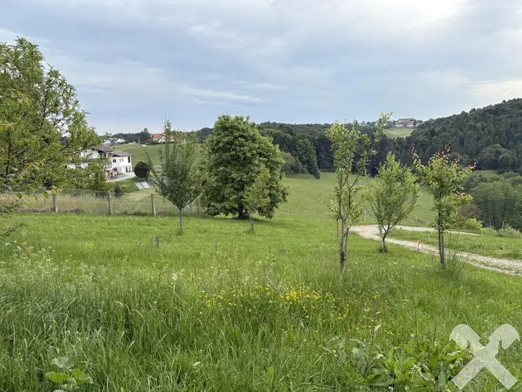 Baugrundstück in sonniger Ruhe- und Aussichtslage Laßnitzhöhe!