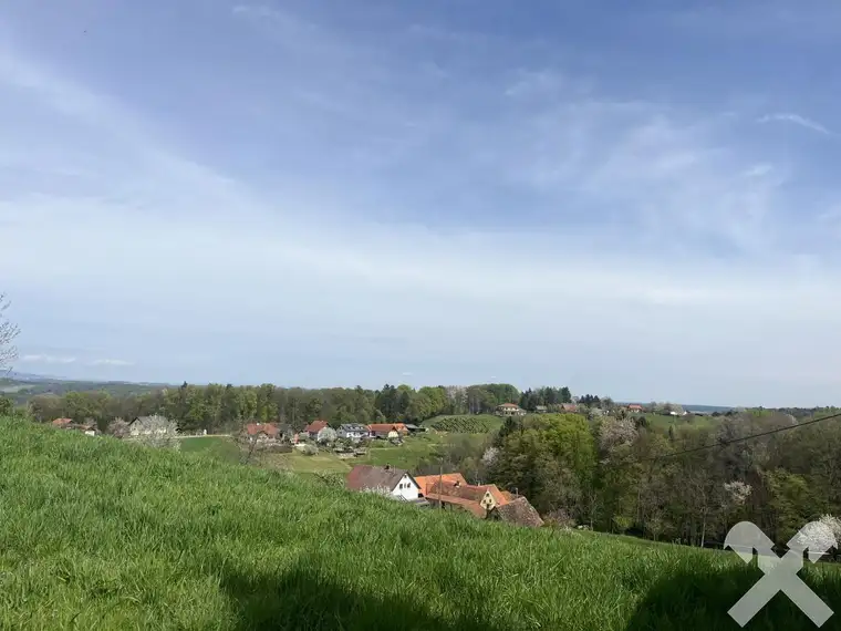 Kellerstöckl auf Baugrund mit Weingarten und kleinem Wäldchen