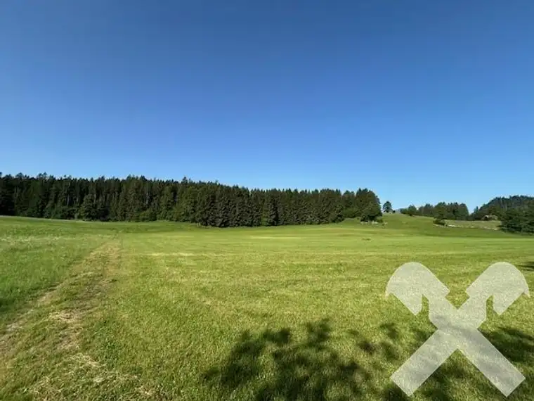 Landwirtschaftlicher Grund in Bad Mitterndorf