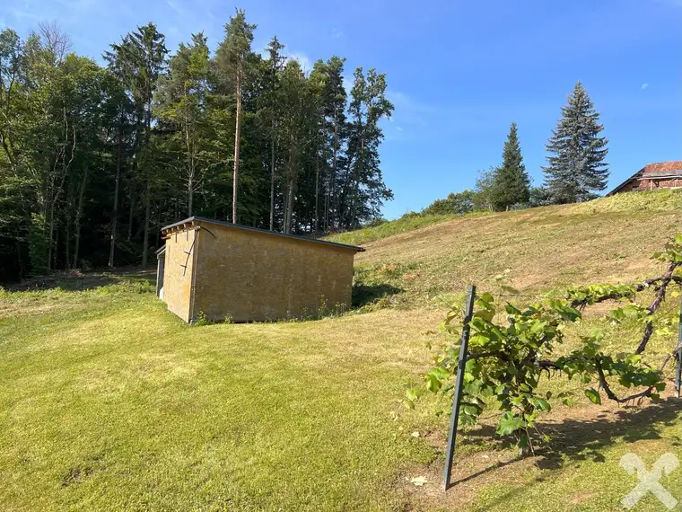 Großes, sonniges Baugrundstück in Hanglage bei Gnaning