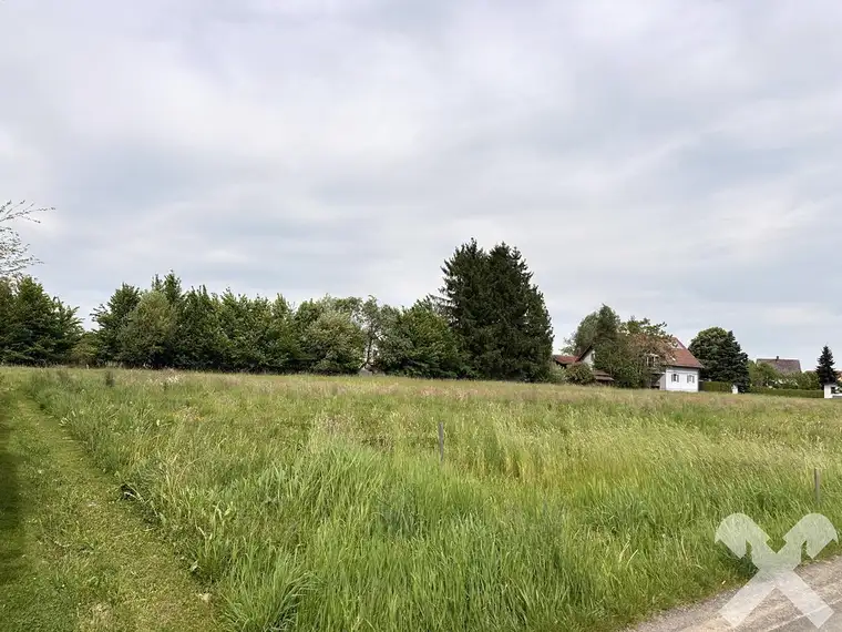Baugrund vor den Toren der Thermenstadt Bad Radkersburg