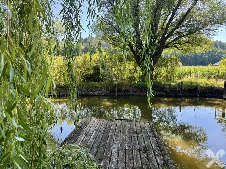 Idyllisch Leben - Grundstück mit altem Baumbestand und Teich
