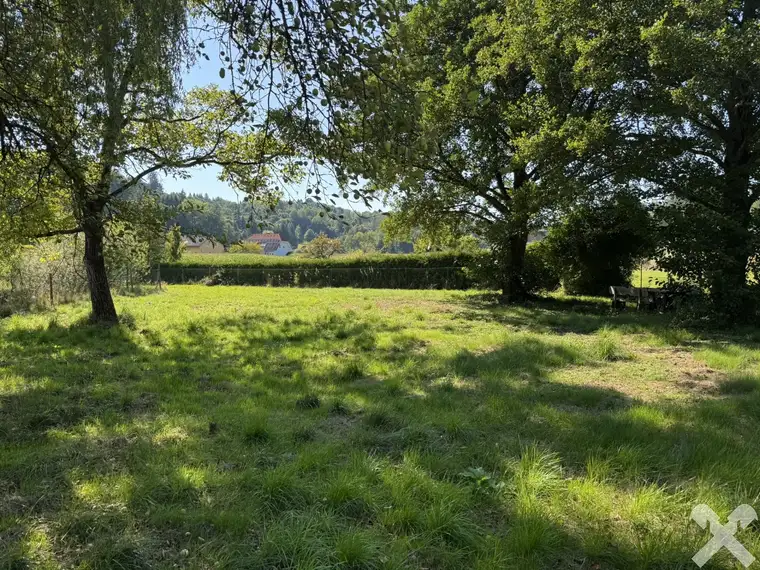 Idyllisch Leben - Grundstück mit altem Baumbestand und Teich