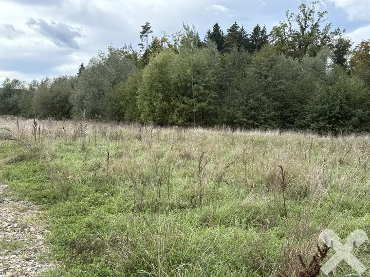 Baugründe in idyllischer Lage Gleisdorf Rand