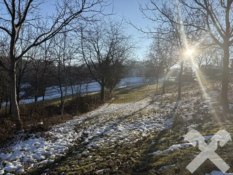 Landwirtschaftliche Fläche mit kleinem Wald nähe Bad Loipersdorf